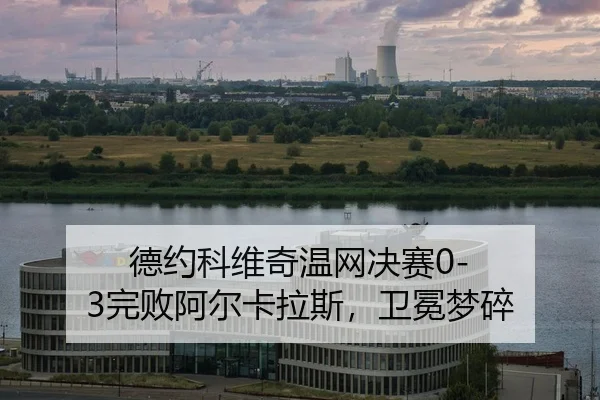 de-yue-ke-wei-qi-wen-wang-jue-sai-wan-bai-a-er-ka-la-si-wei-mian-meng-sui-2-947.jpg