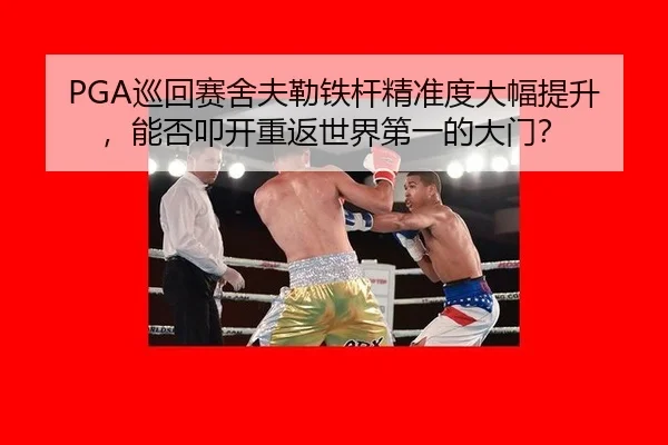 xun-hui-sai-she-fu-lei-tie-gan-jing-zhun-du-da-fu-ti-sheng-neng-fou-kou-kai-chong-fan-shi-jie-di-yi-de-da-men-3-777.jpg