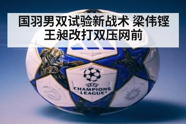 国羽男双试验新战术 梁伟铿王昶改打双压网前